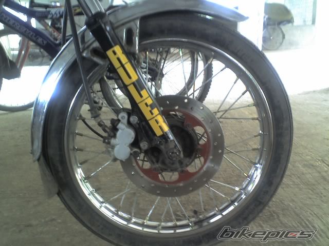 Photo 1294402