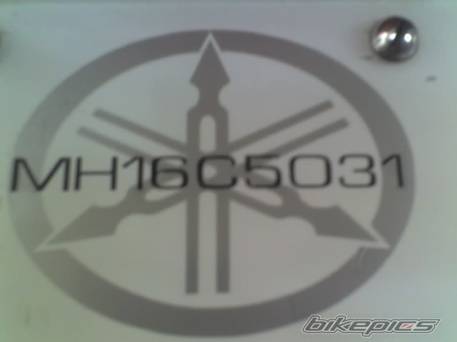Photo 1294409