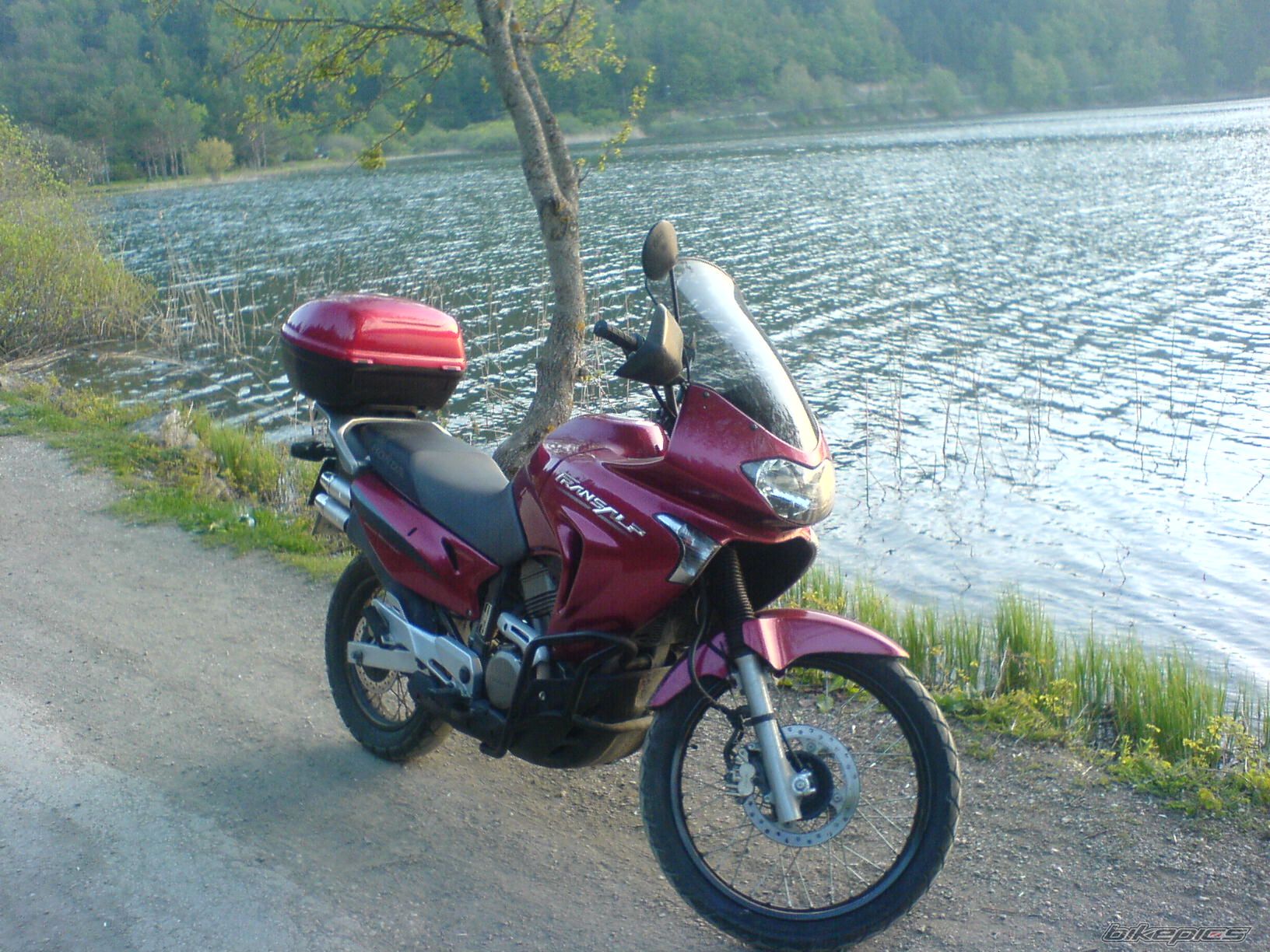 Bike Photo 1294427