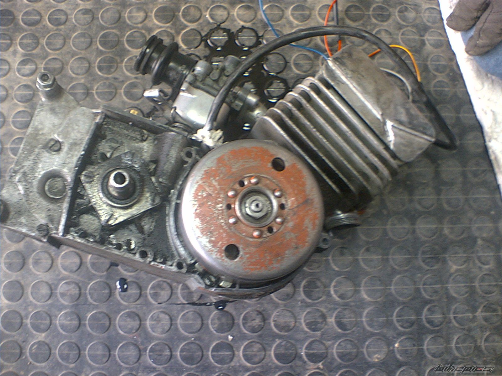 Photo 1294472