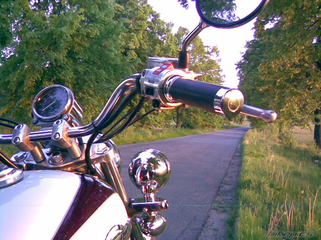 Photo 1294482