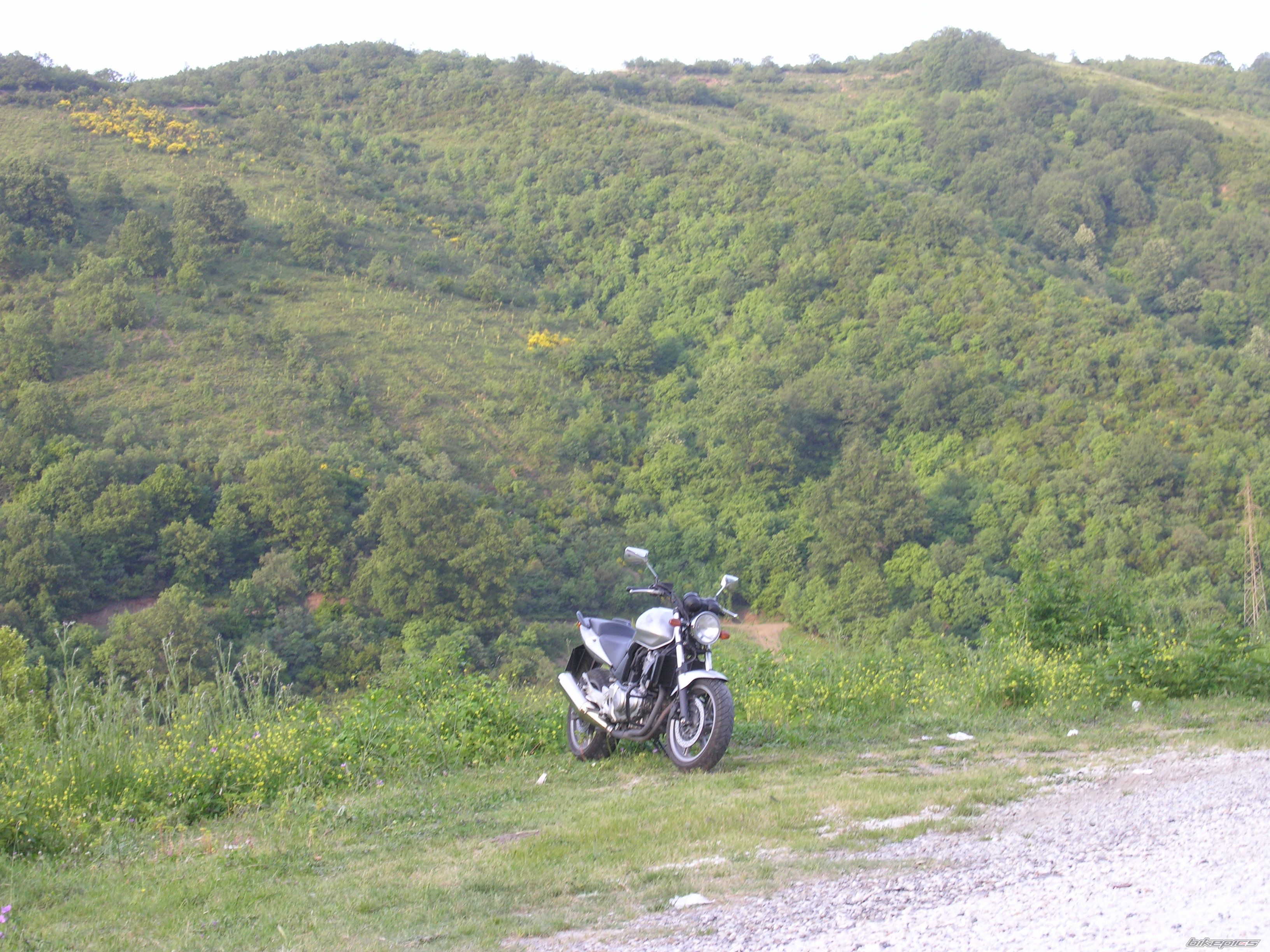 Photo 1294547