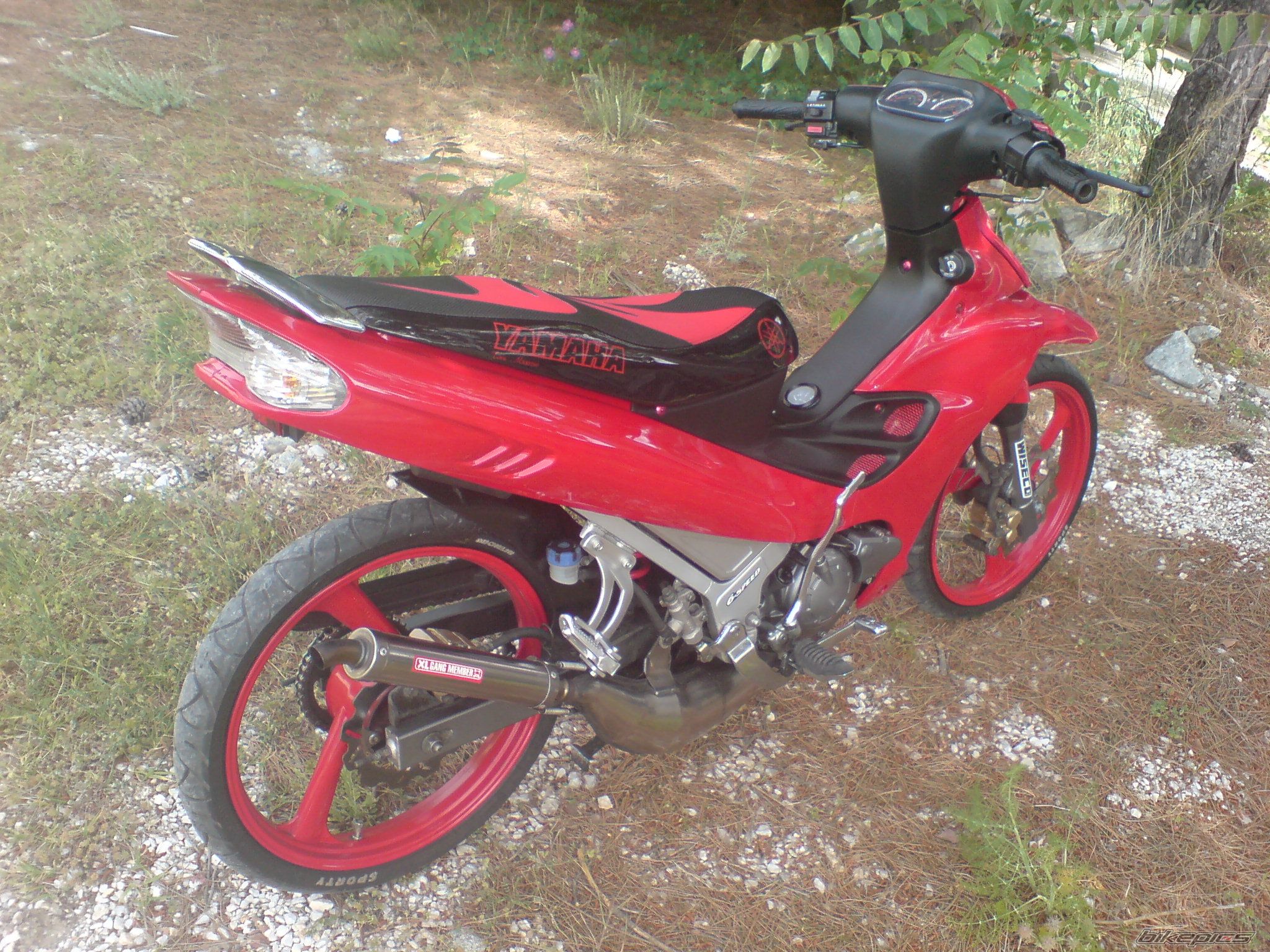 Photo 1294557