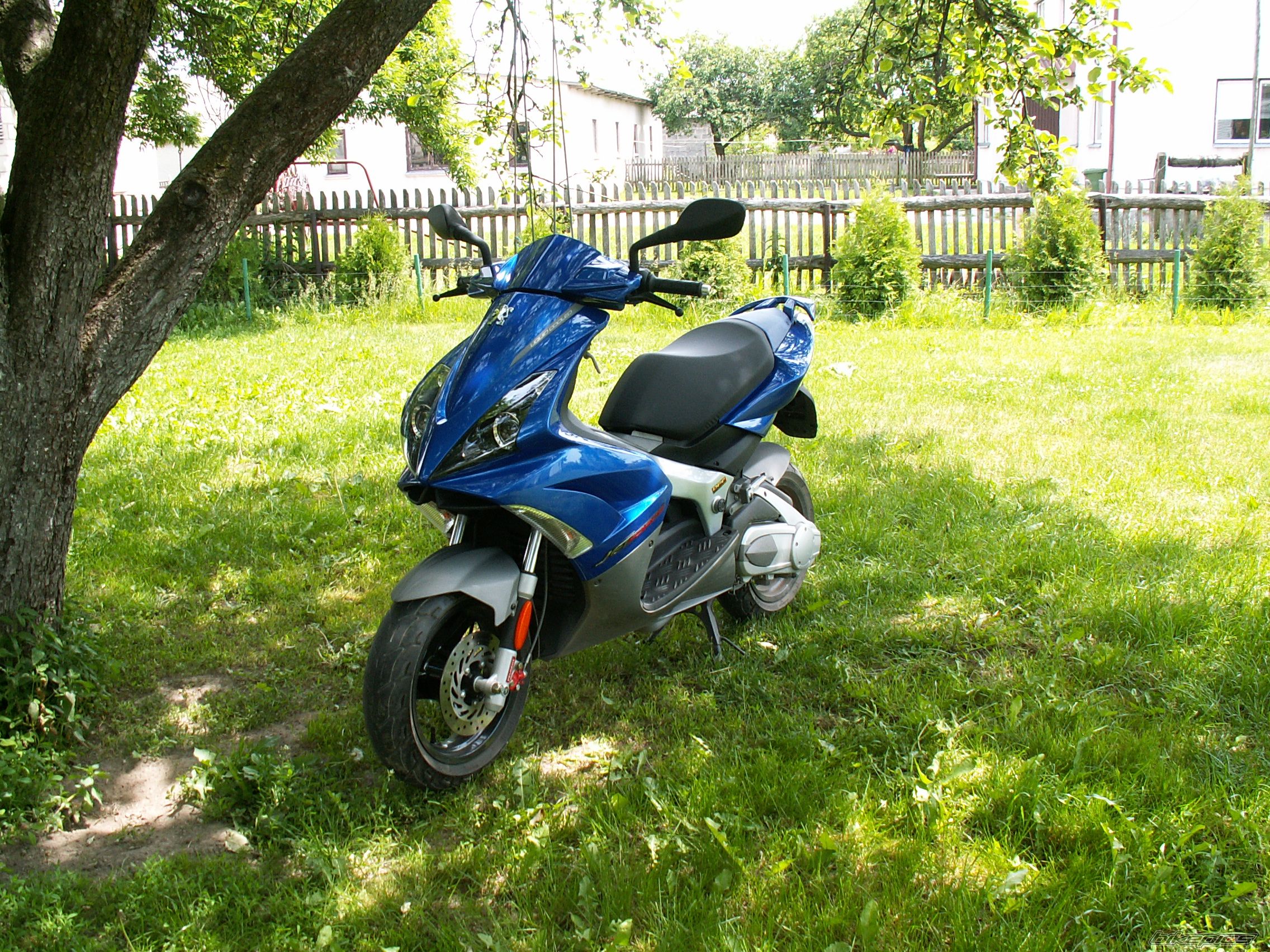 Bike Photo 1294598