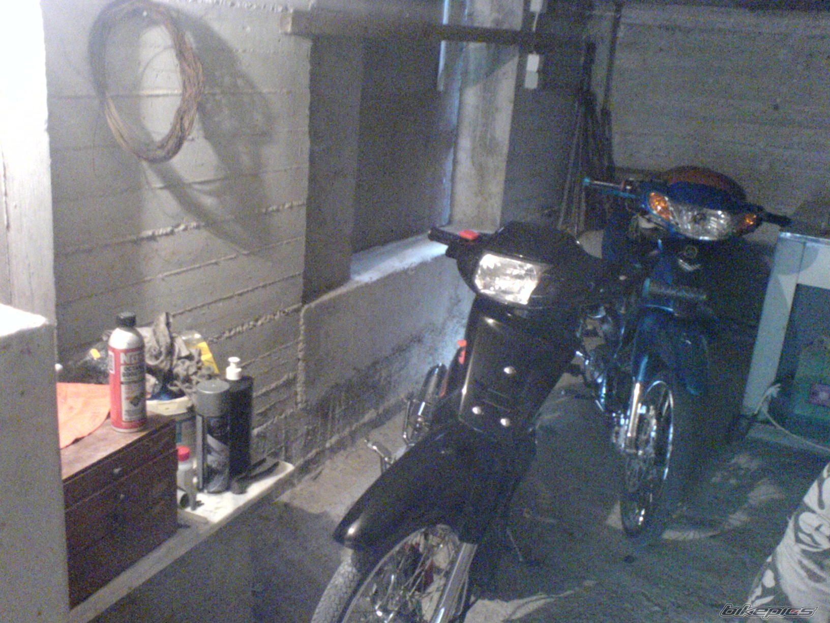 Photo 1294611