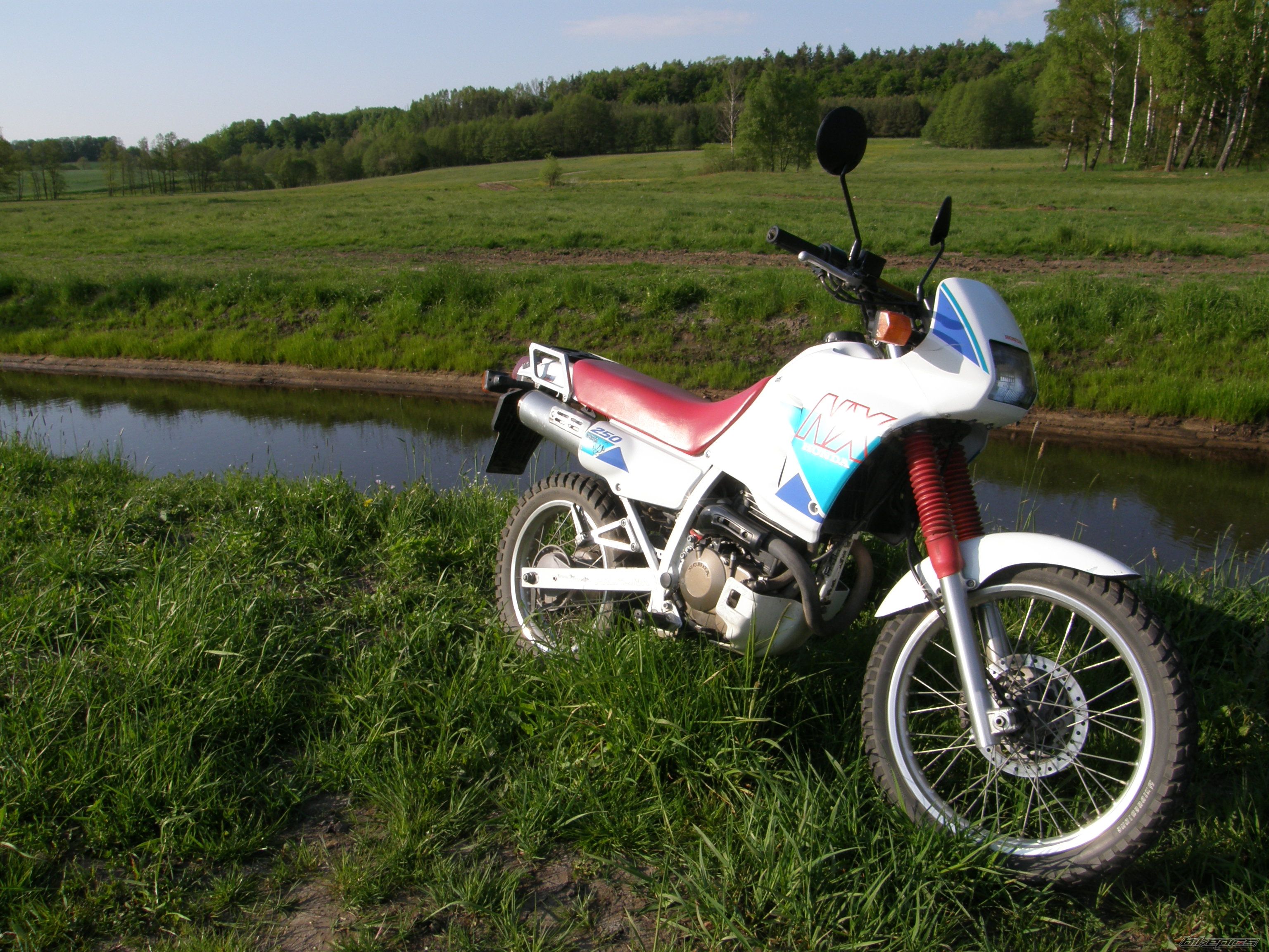 Bike Photo 1294631