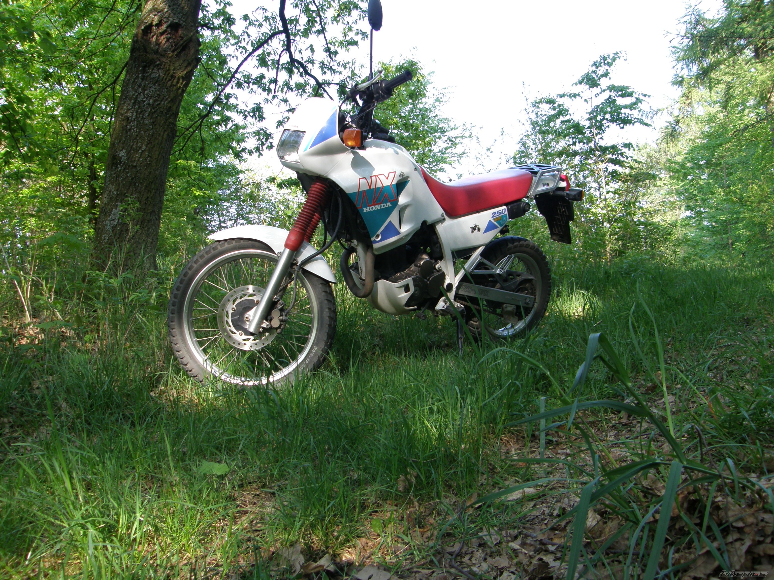 Bike Photo 1294653