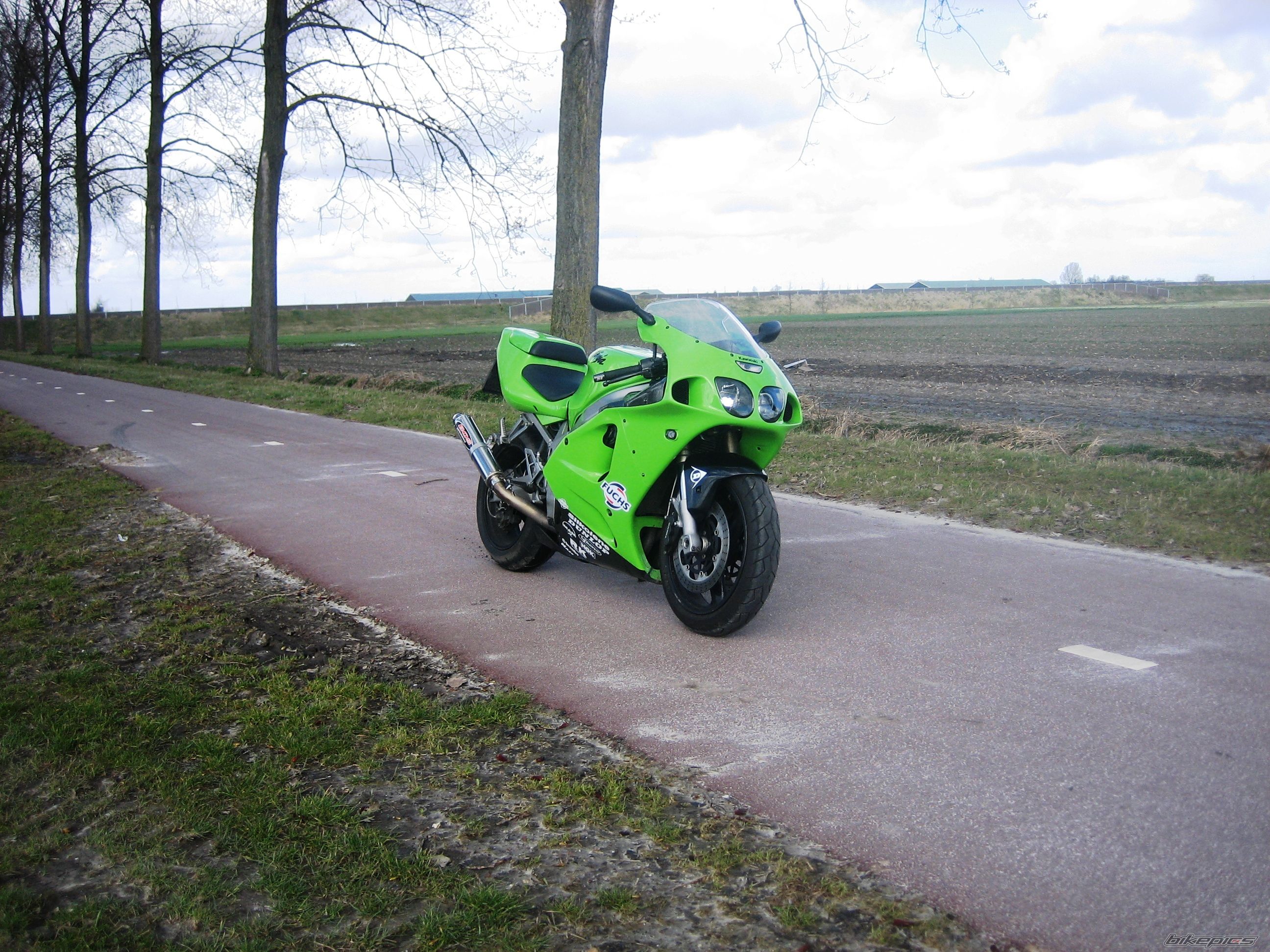 Photo 1294720