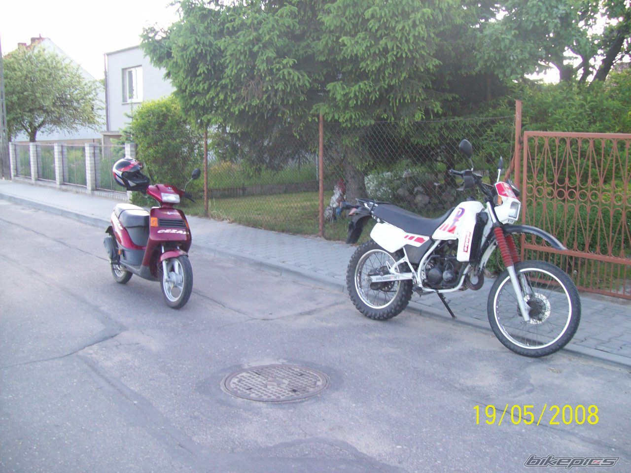 Photo 1294732