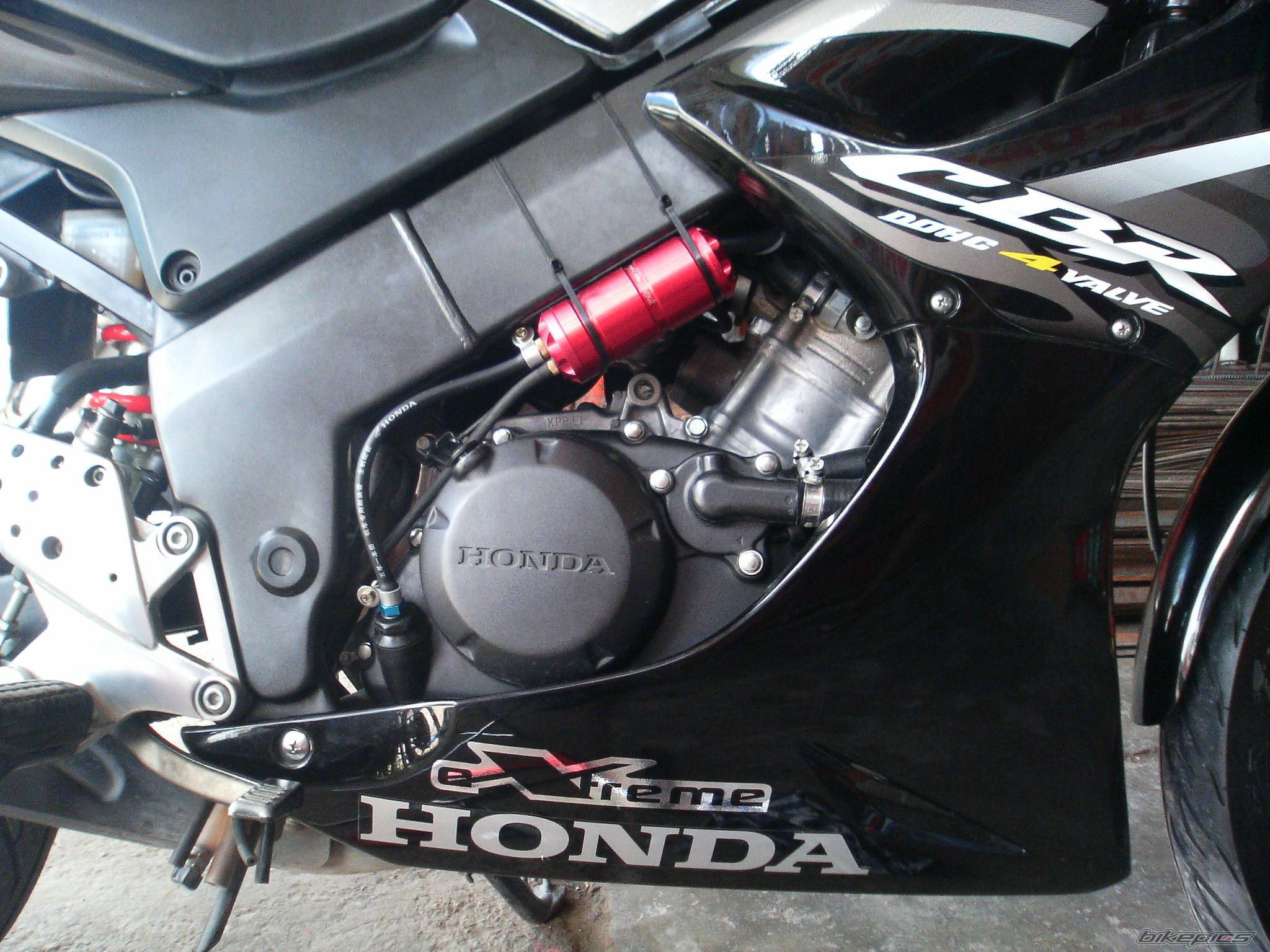 Photo 1294771