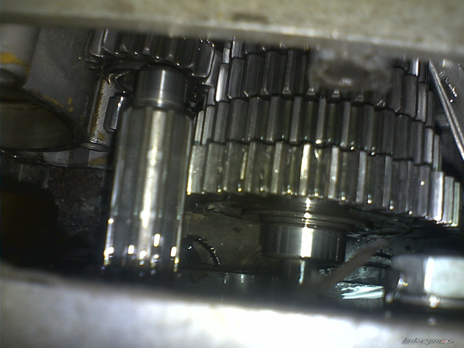 Photo 1294783