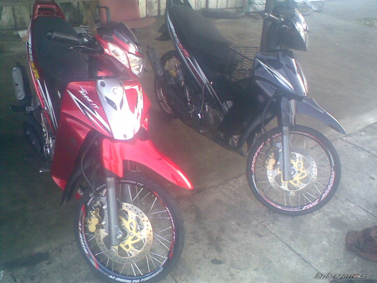 Photo 1294848
