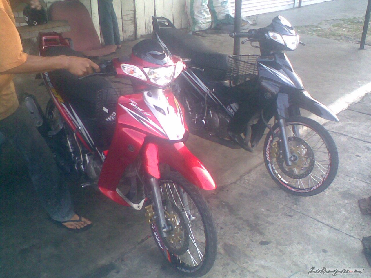 Photo 1294850
