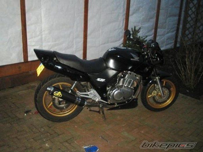Photo 1294916