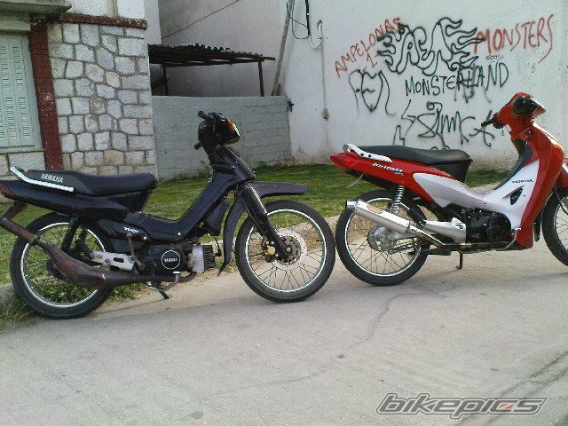 Photo 1294934