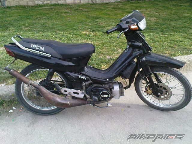 Photo 1294936