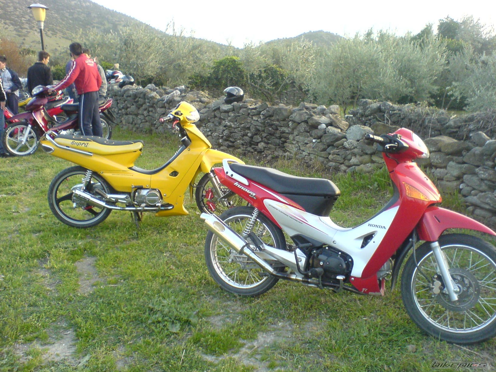 Photo 1294949