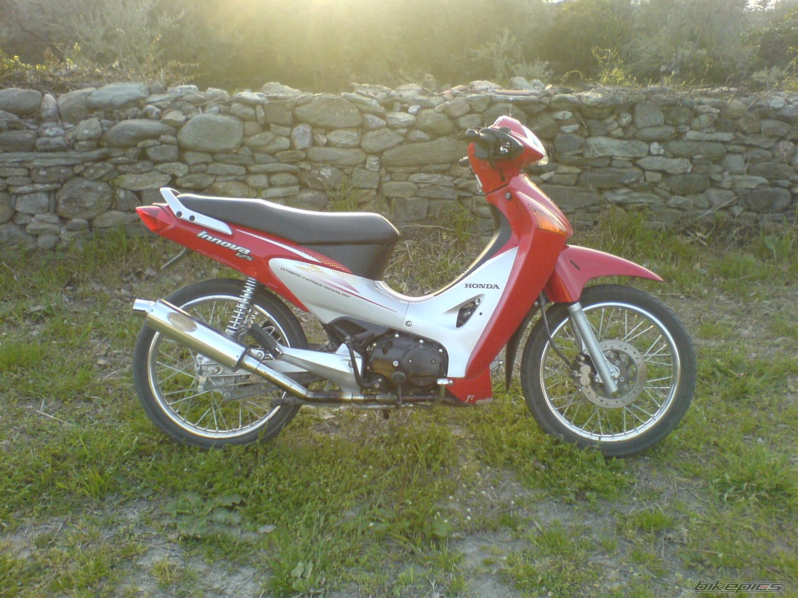 Photo 1294982