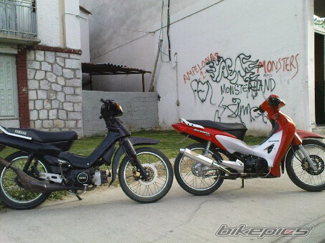 Photo 1294990