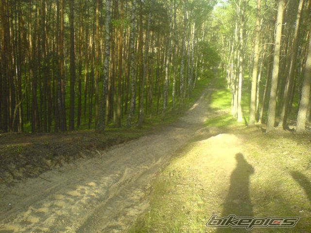 Bike Photo 1295001