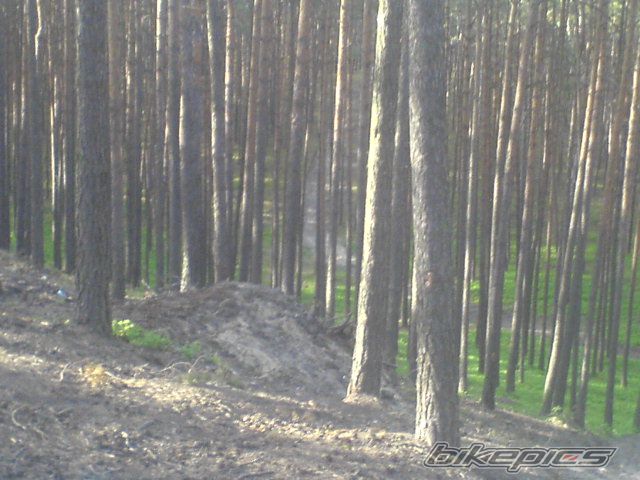 Bike Photo 1295002