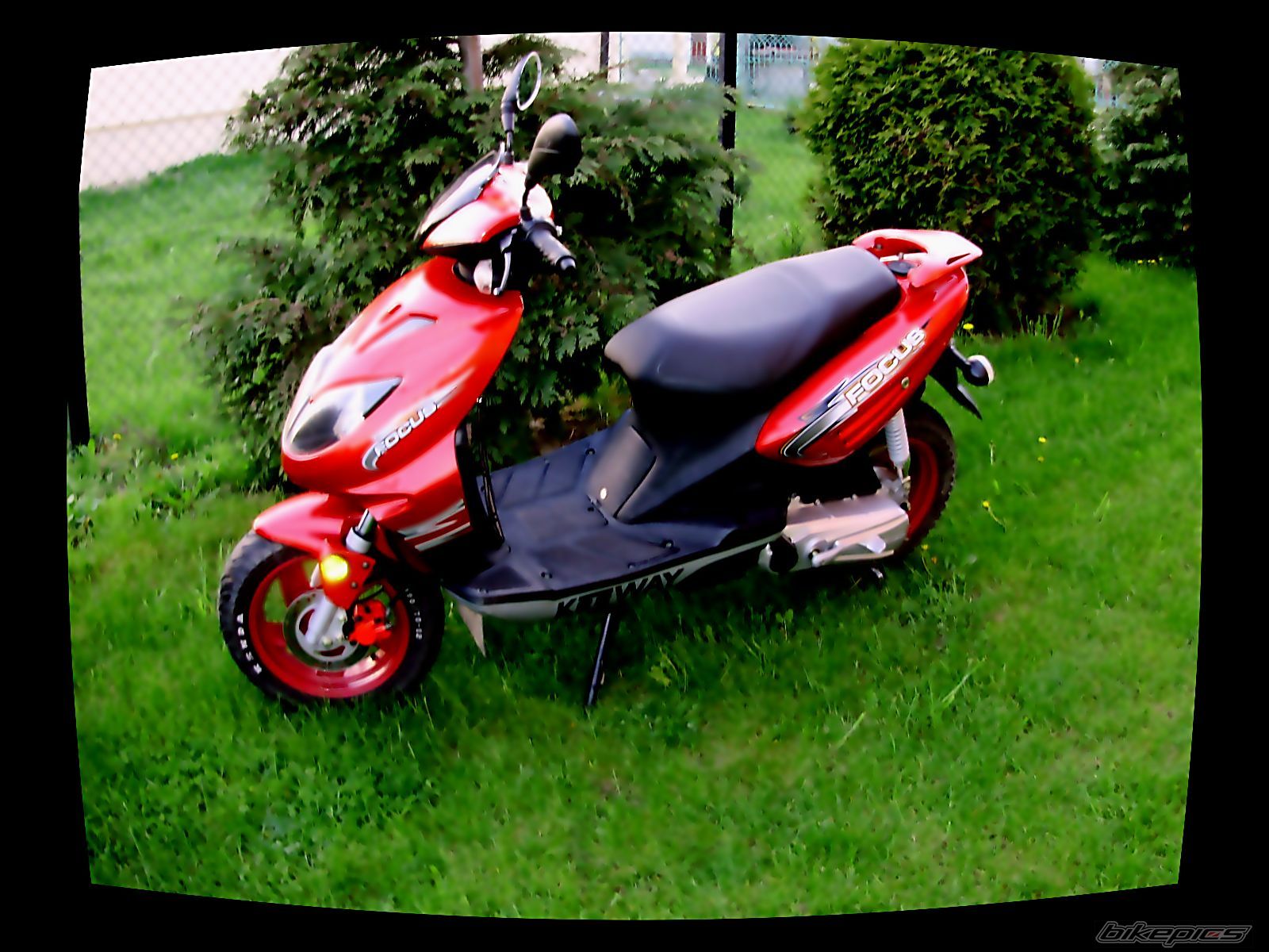 Photo 1295027