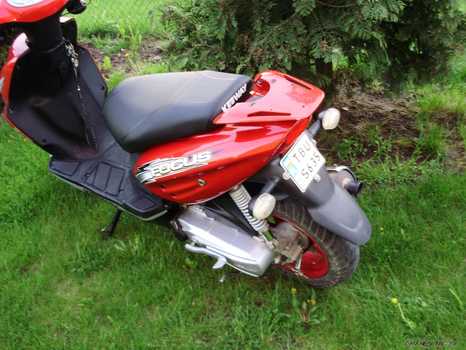 Photo 1295028