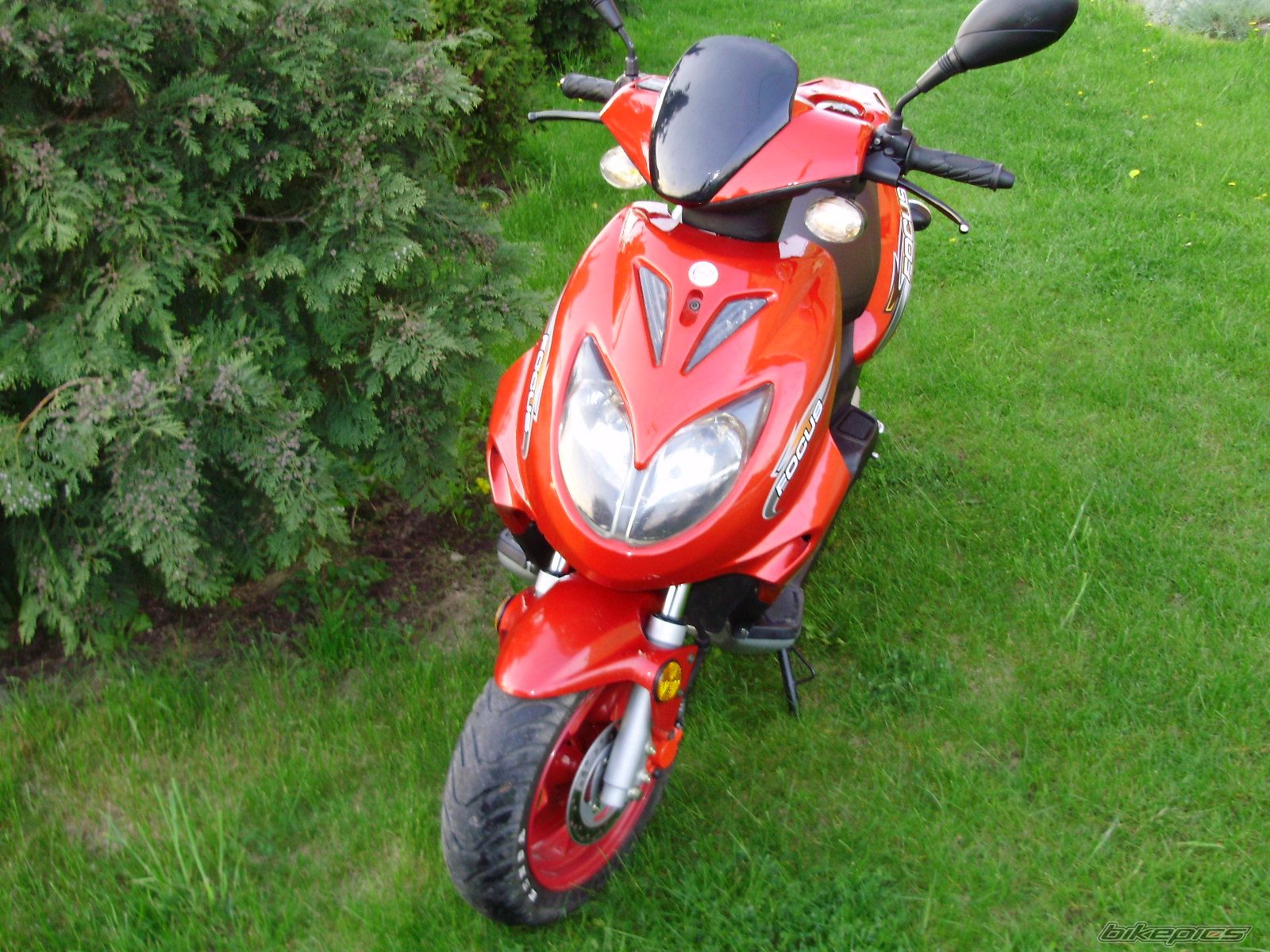 Photo 1295029
