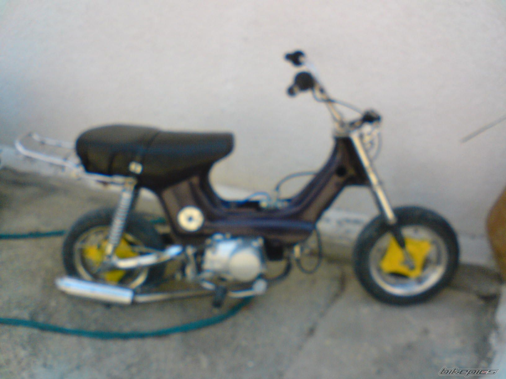 Photo 1295032