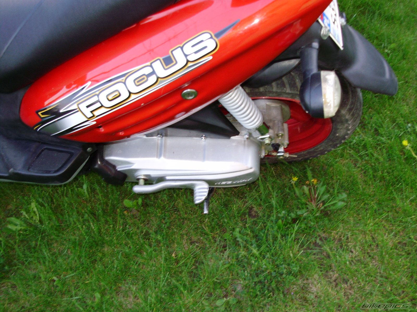 Photo 1295039