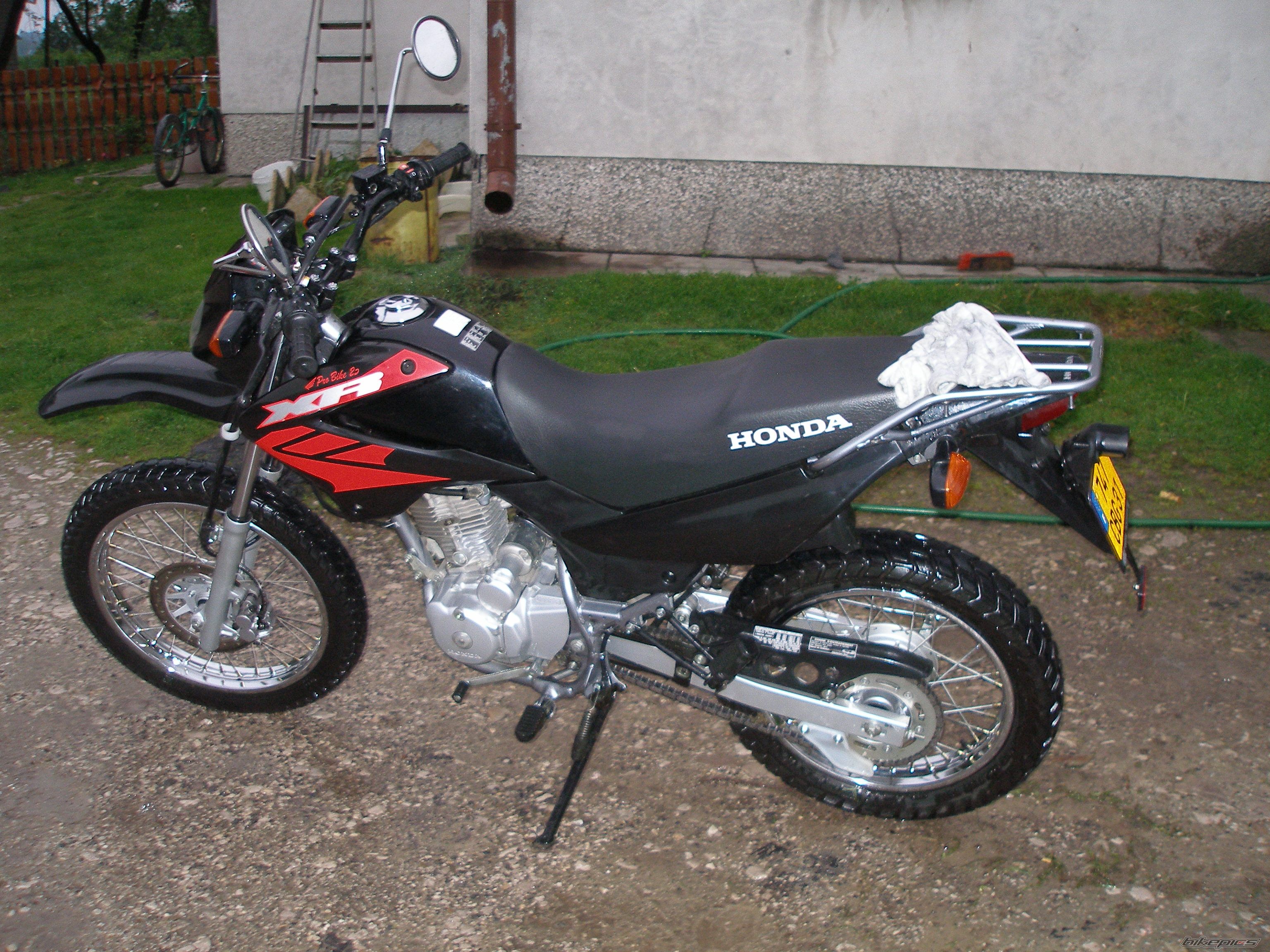Photo 1295063