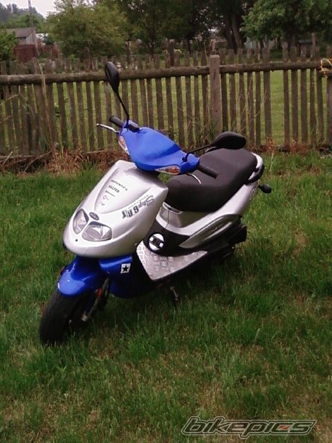 Photo 1295075
