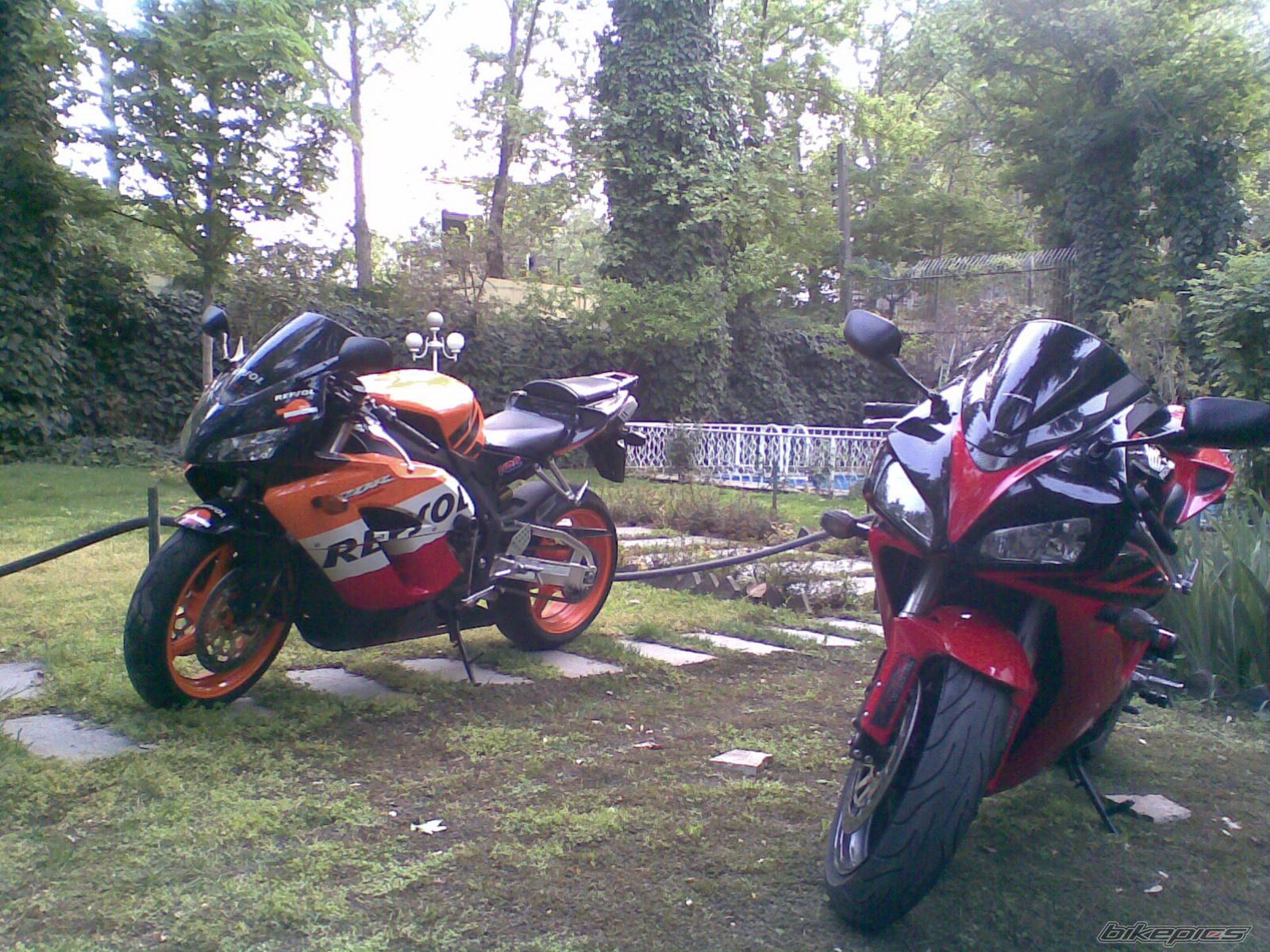 Photo 1295087