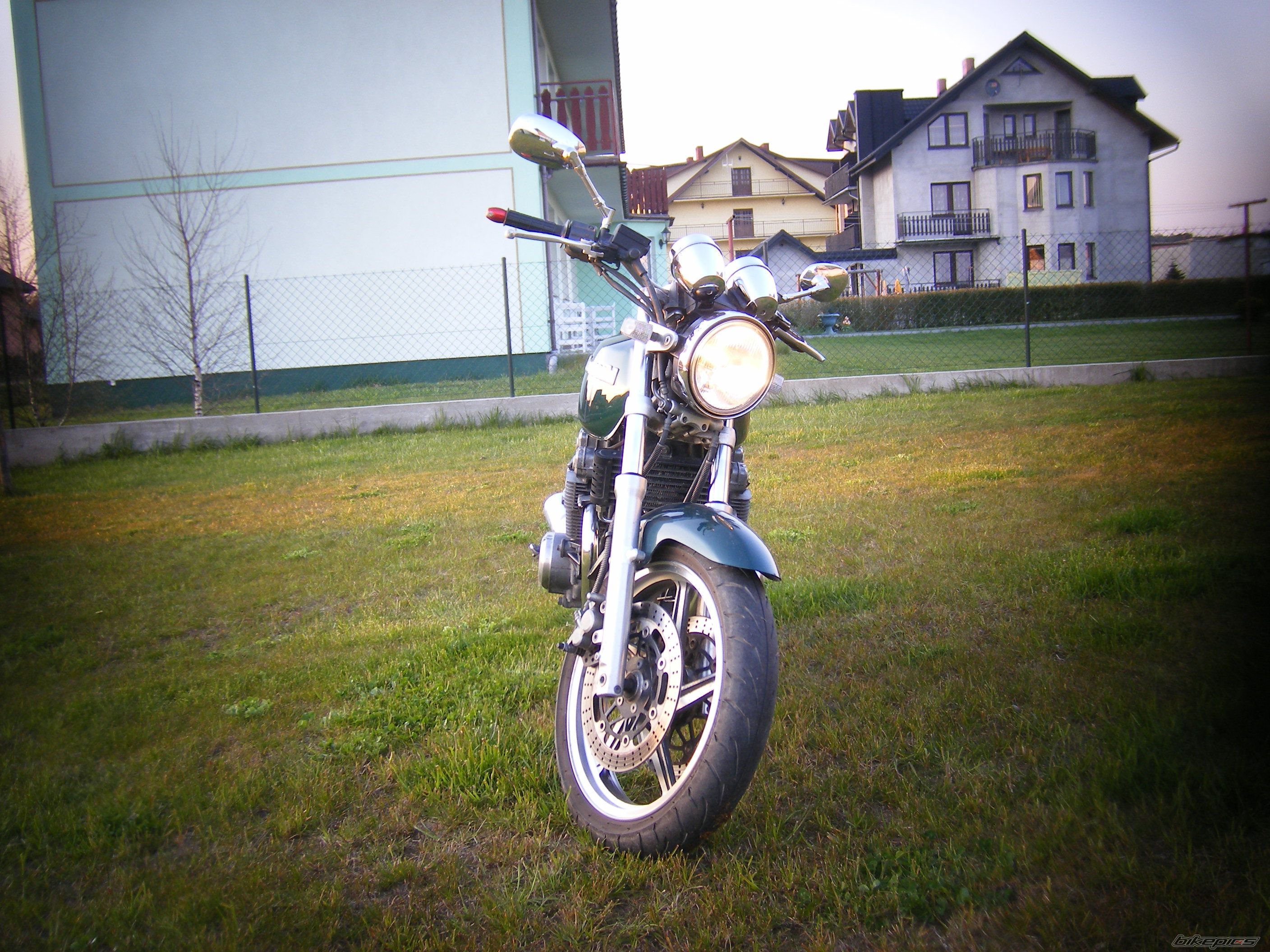 Photo 1295090