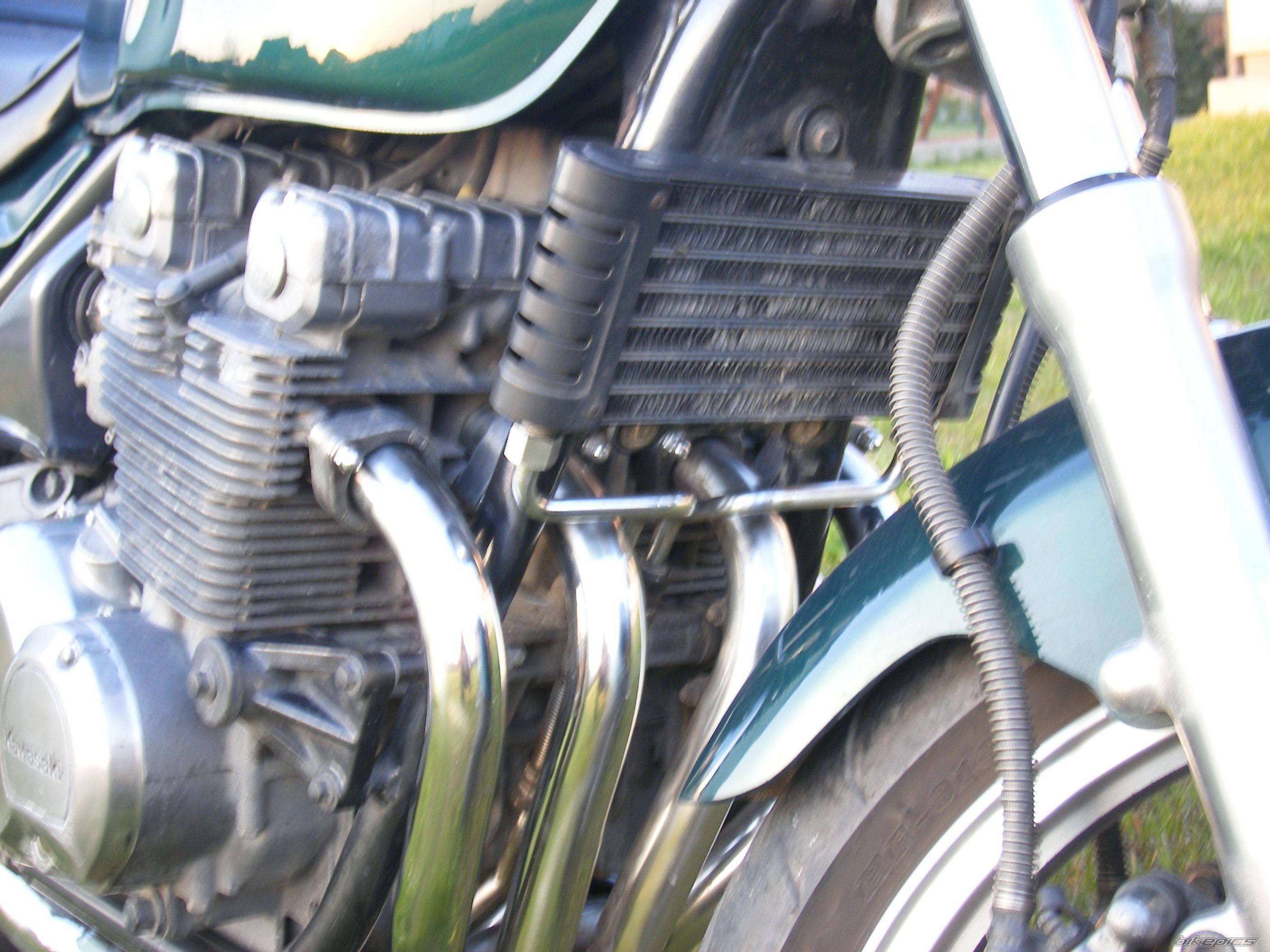 Photo 1295091