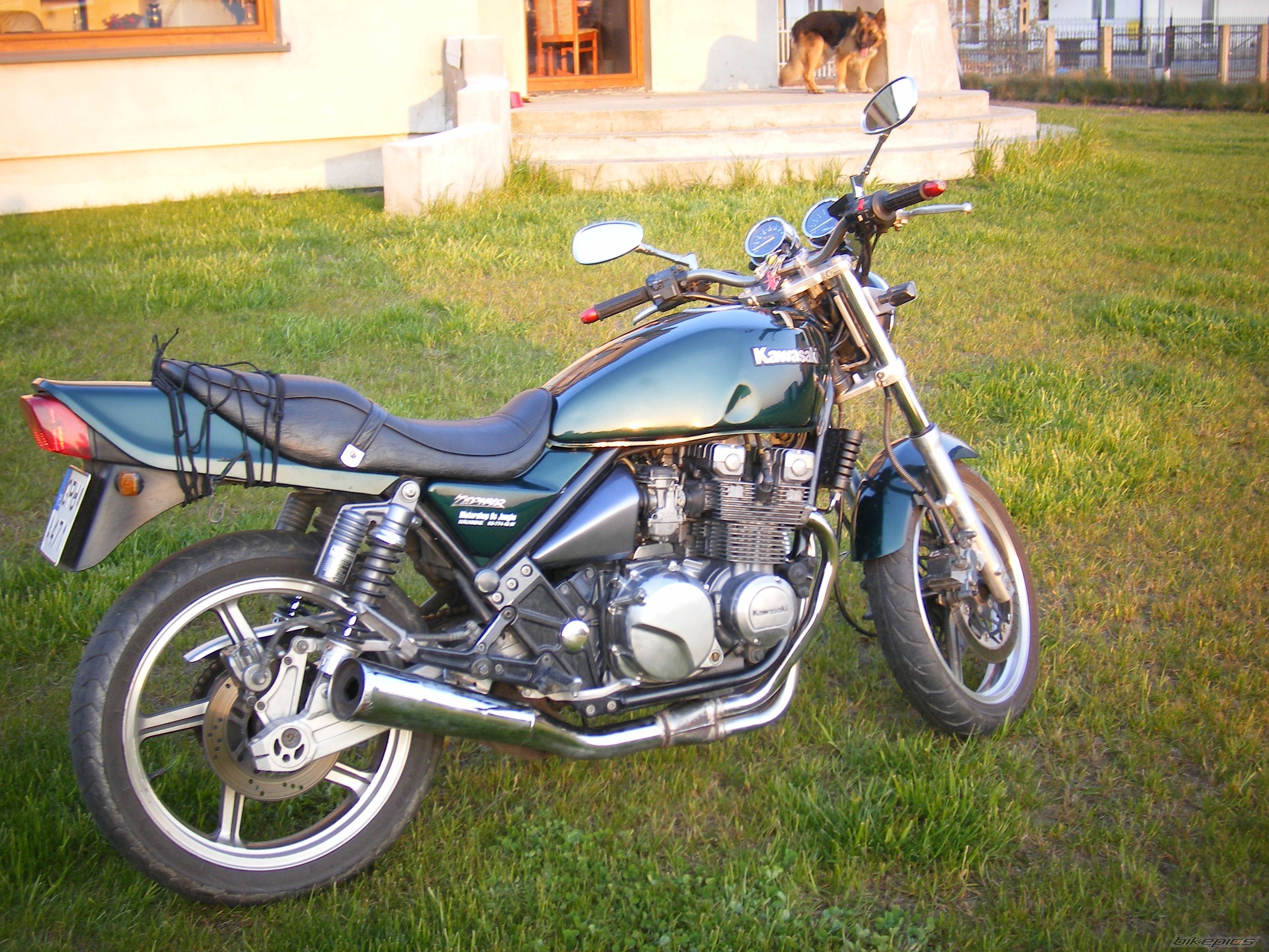 Photo 1295095