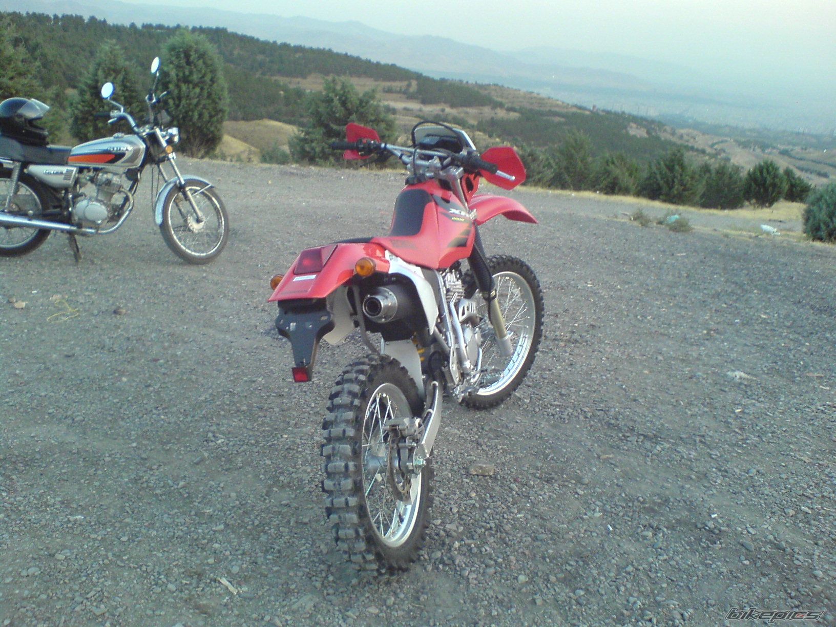 Photo 1295096
