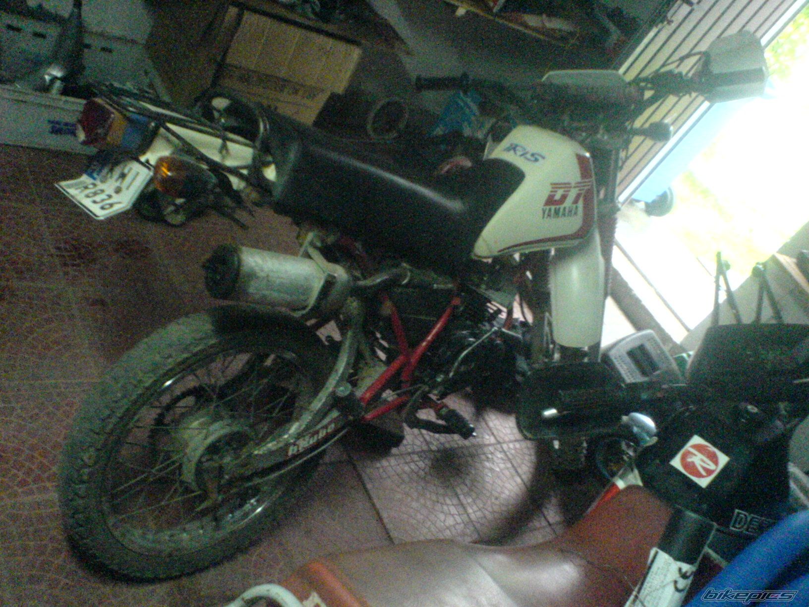Photo 1295099