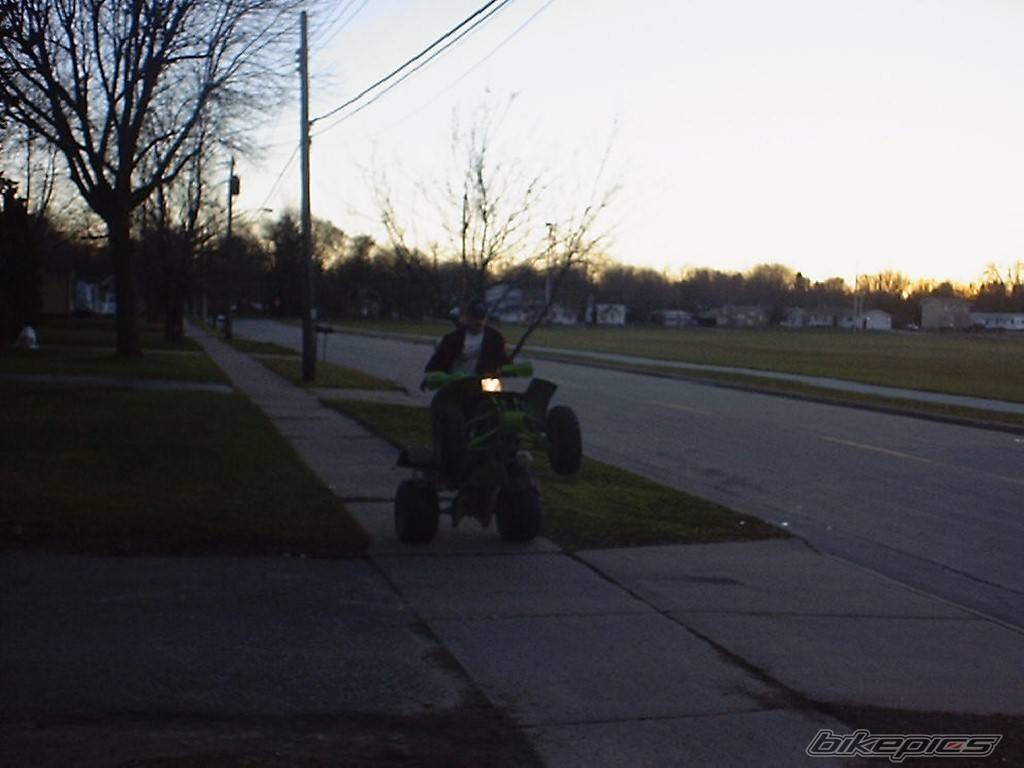 Photo 12951