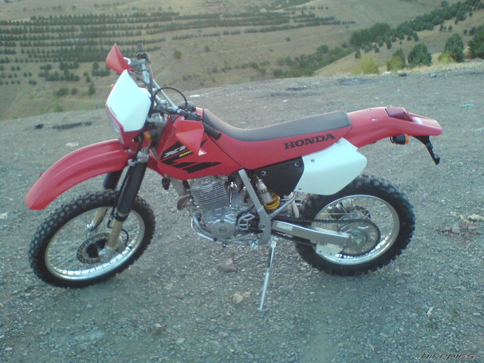 Photo 1295103