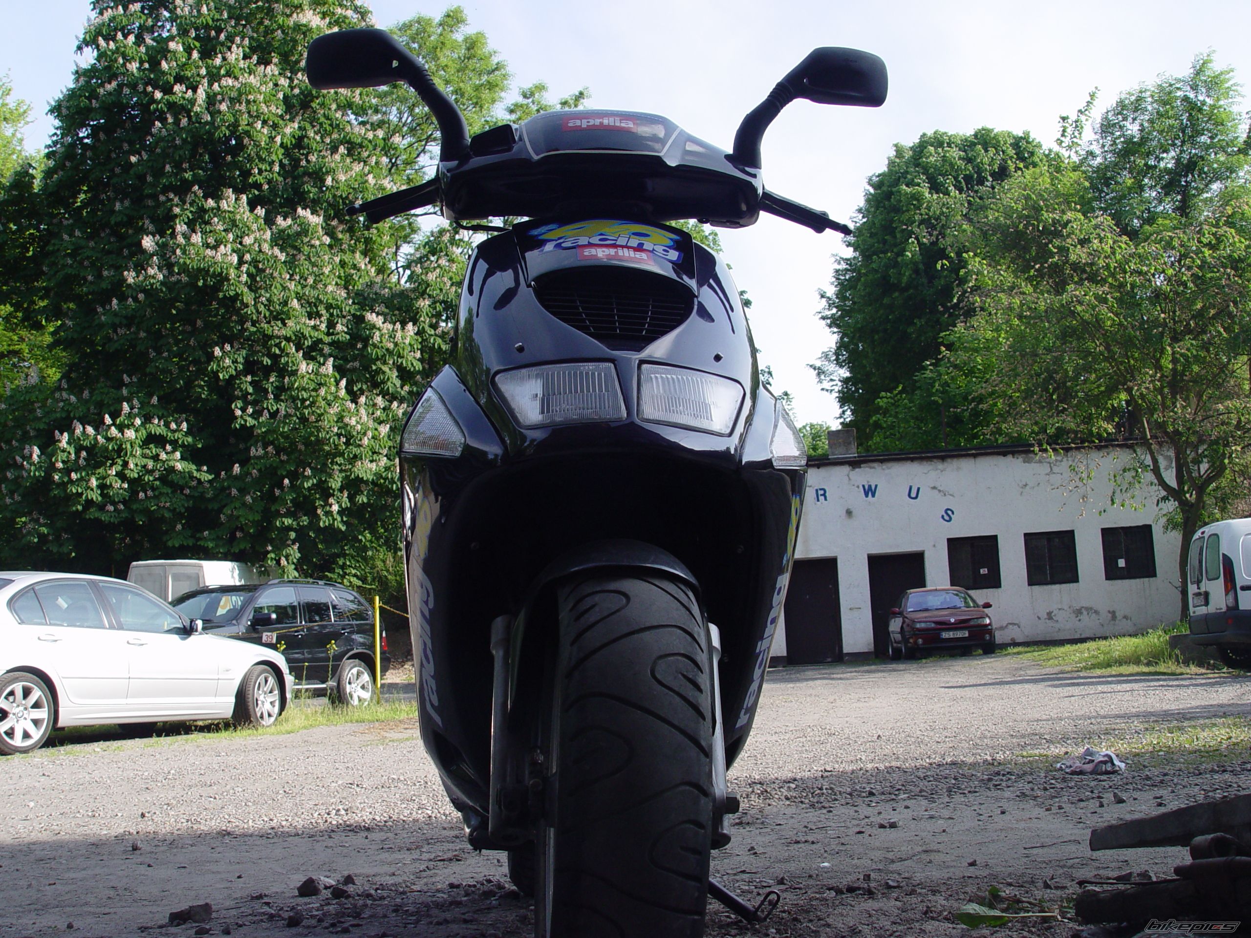 Photo 1295218