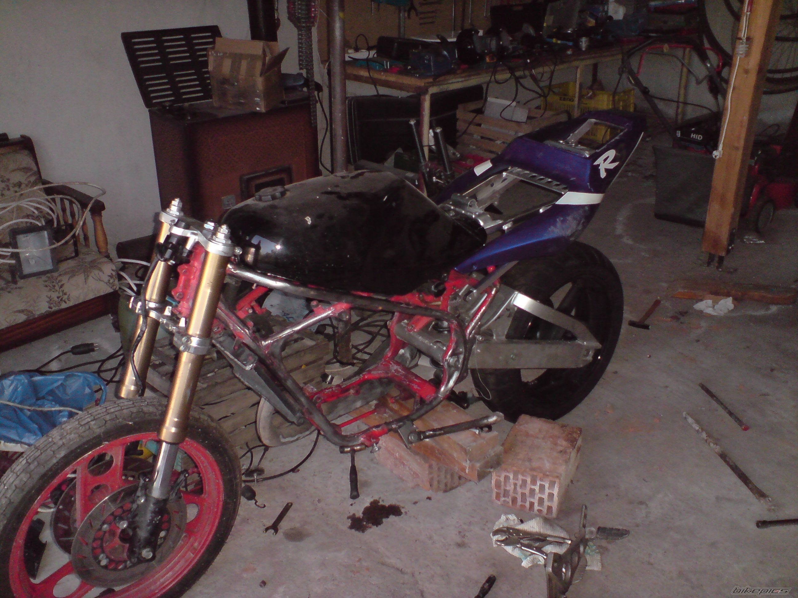 Photo 1295277