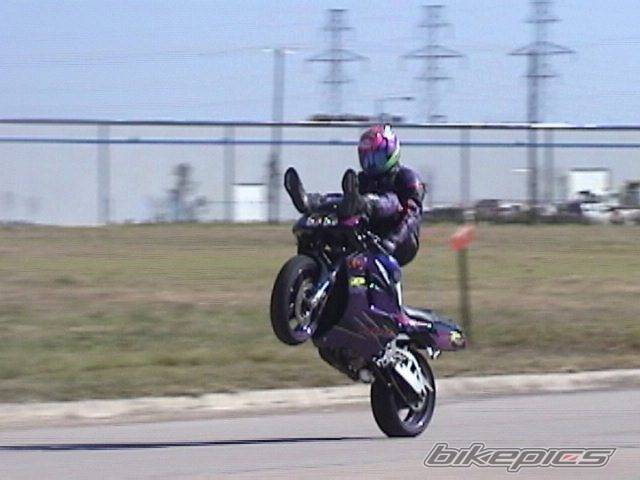 Photo 12953