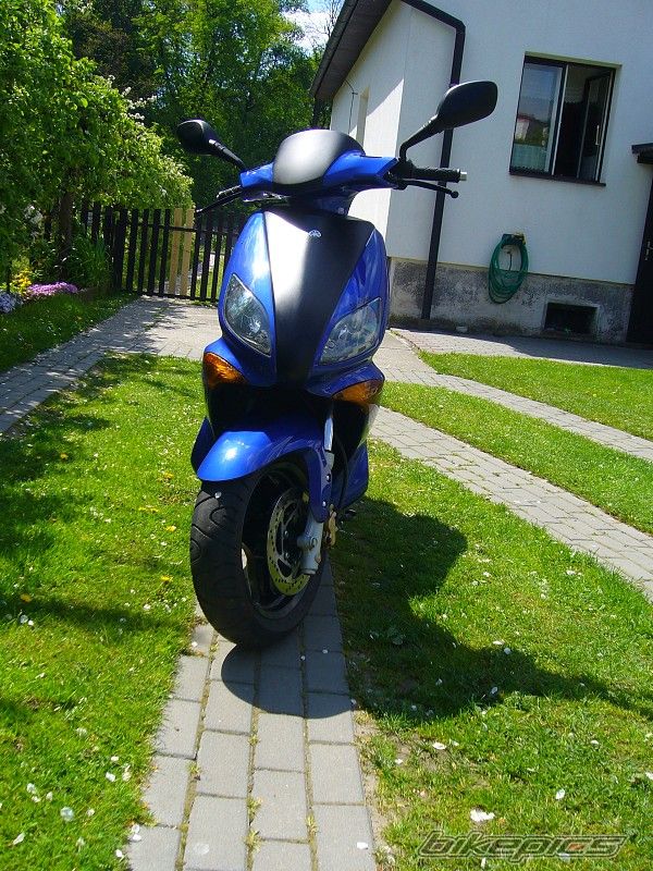 Photo 1295309
