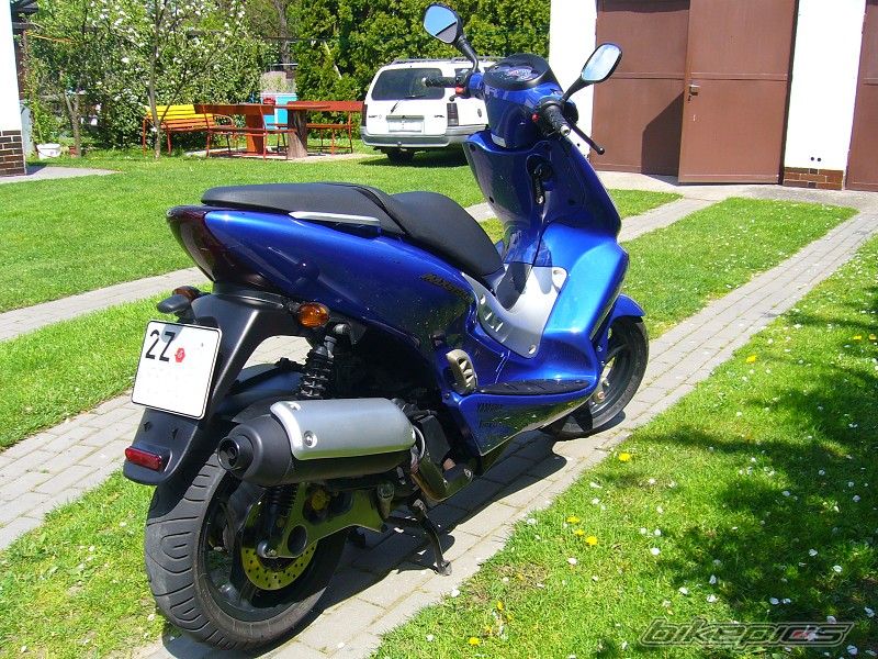 Photo 1295313