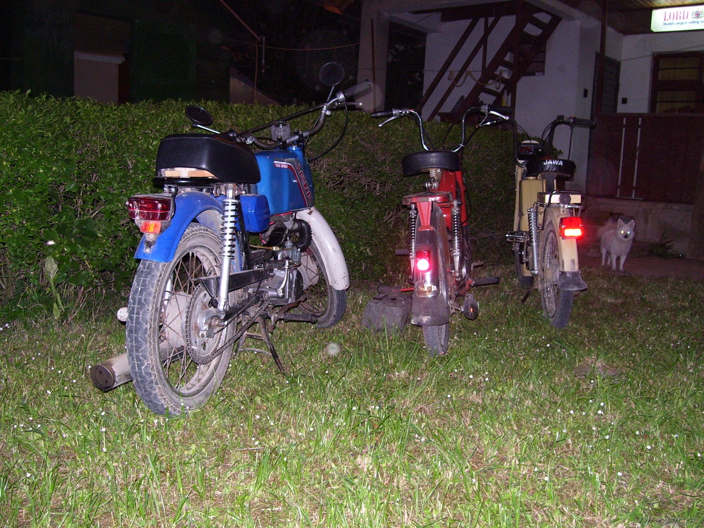Photo 1295314