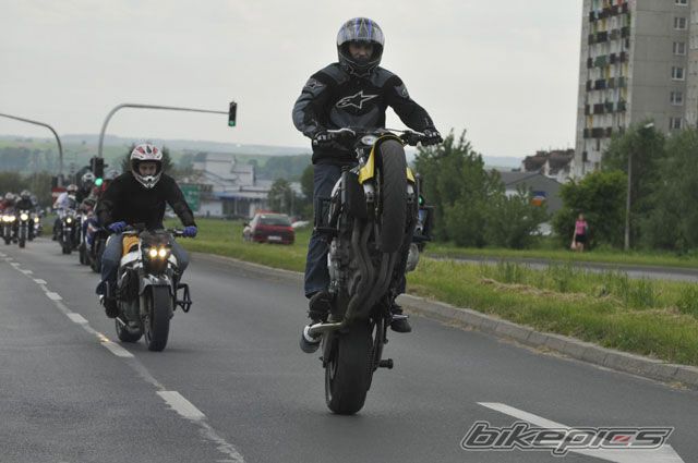 Photo 1295321