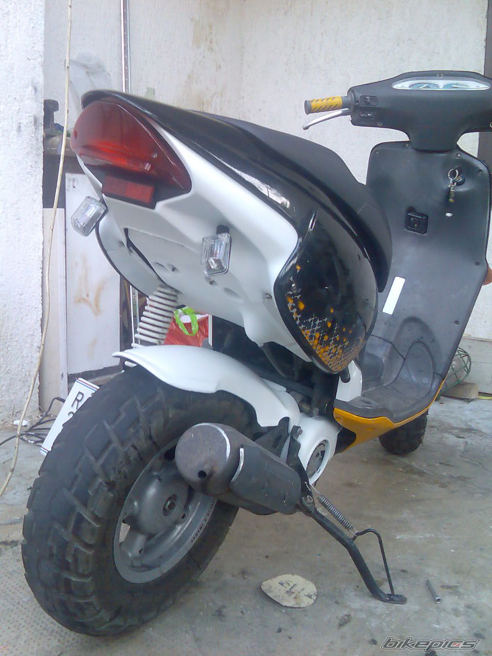 Photo 1295325