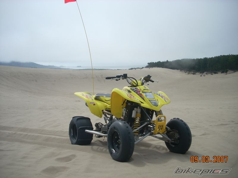 Photo 1295383