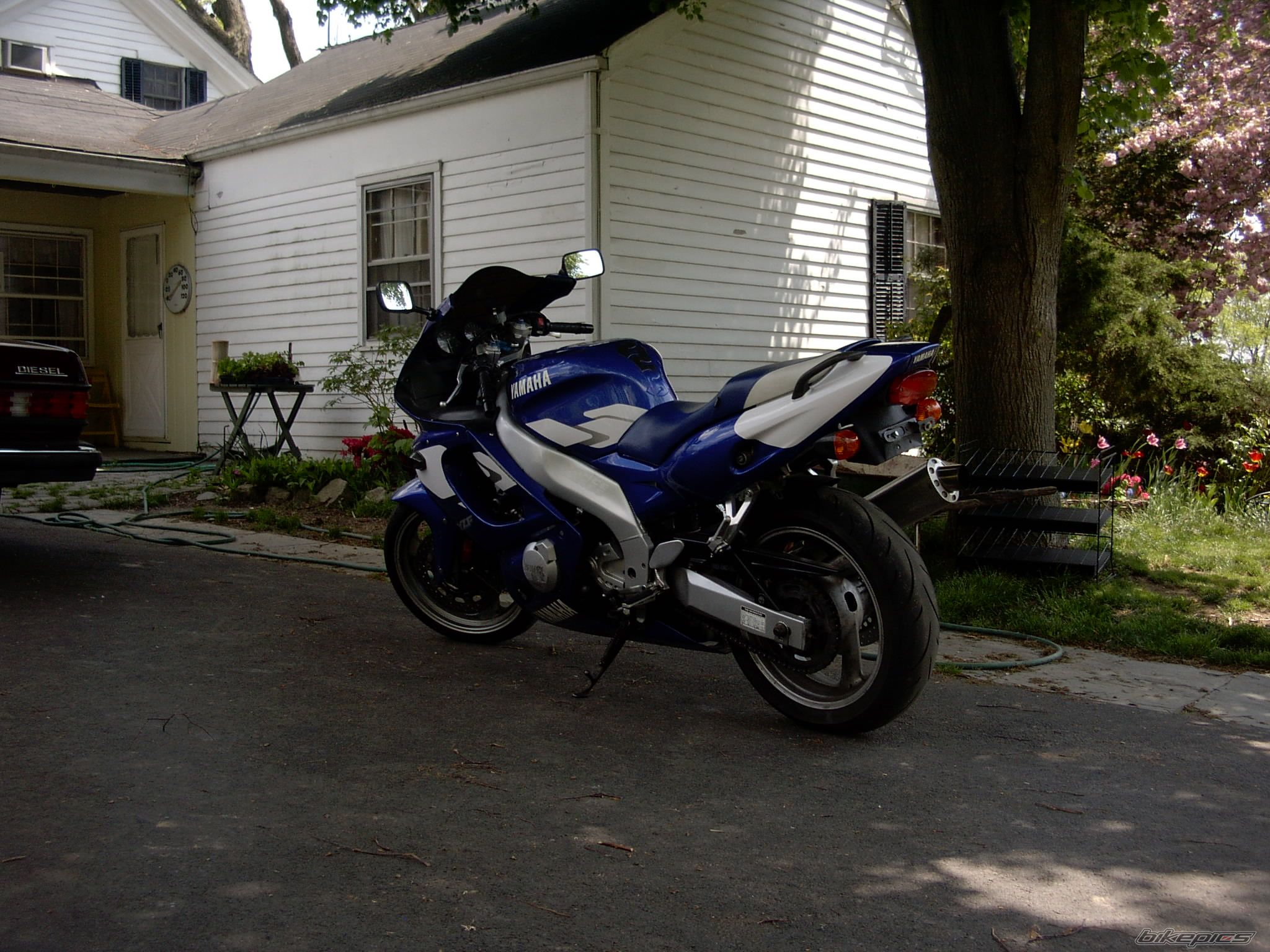 Photo 1295416